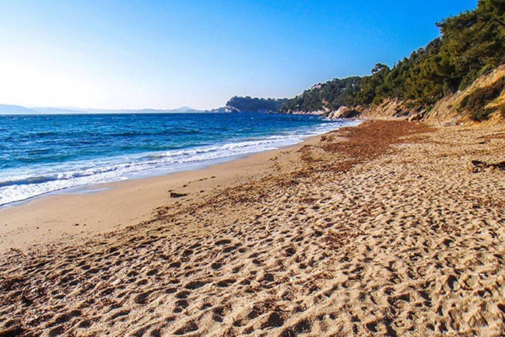 דירות לה פרדה Superbe T2 Lumineux 3*** 10 Mn A Pied De La Plage מראה חיצוני תמונה